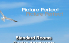 Long Beach Island Motel Rentals Suites Apartments